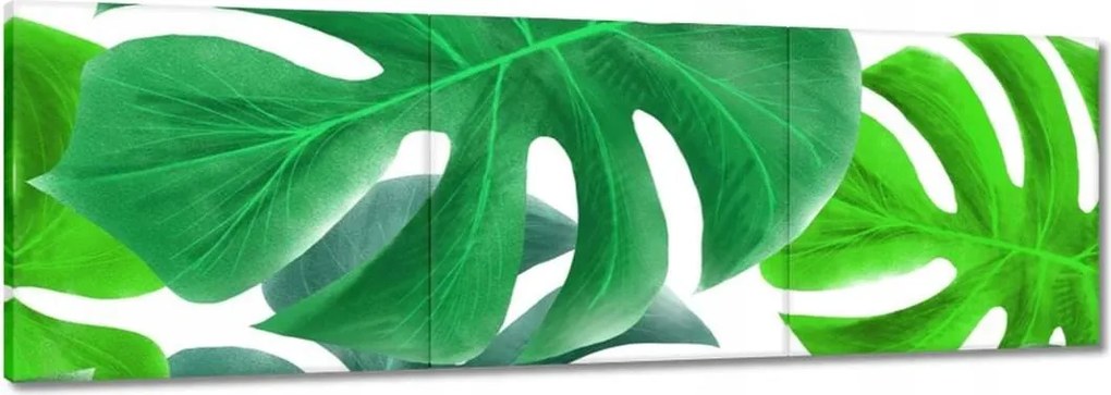 Vászonkép 150x50 Levelek Monstery Trópusok
