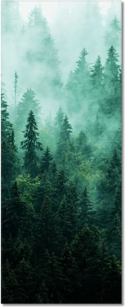 Fotótapéták 40x100 Erdő Köd Tájkép Utazás