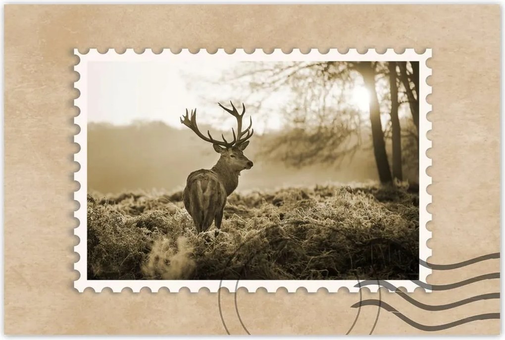 Poszterek 120x80 Szarvas erdő naplemente