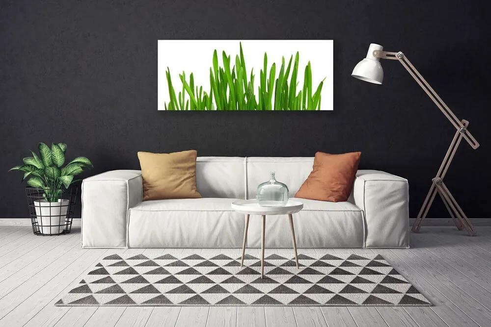 Vászonfotó Grass A Wall 140x70 cm