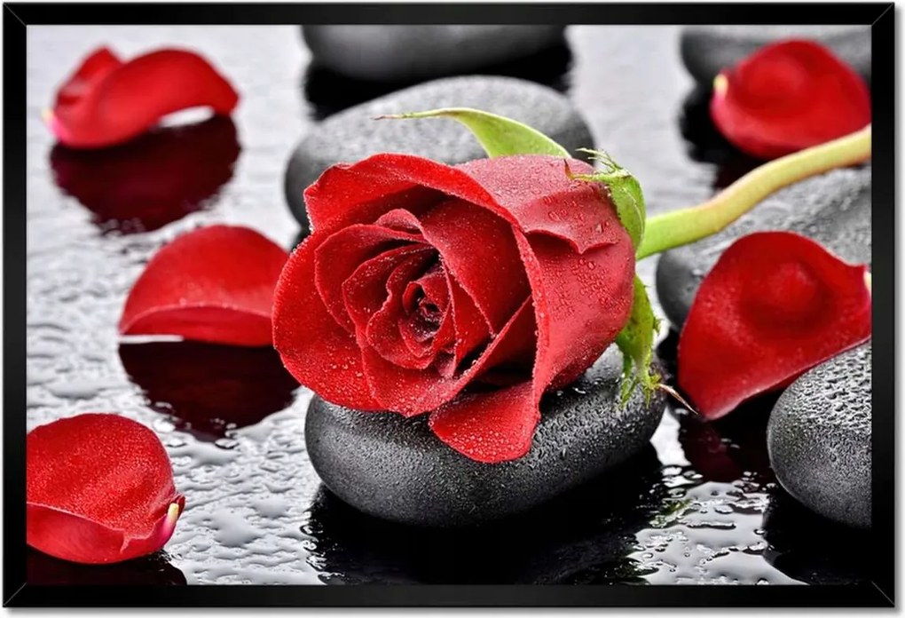 Poszter keretben 60x40 Vörös rózsák Kövek