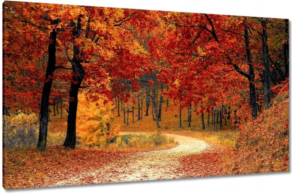 Festmények 120x70 Tájkép