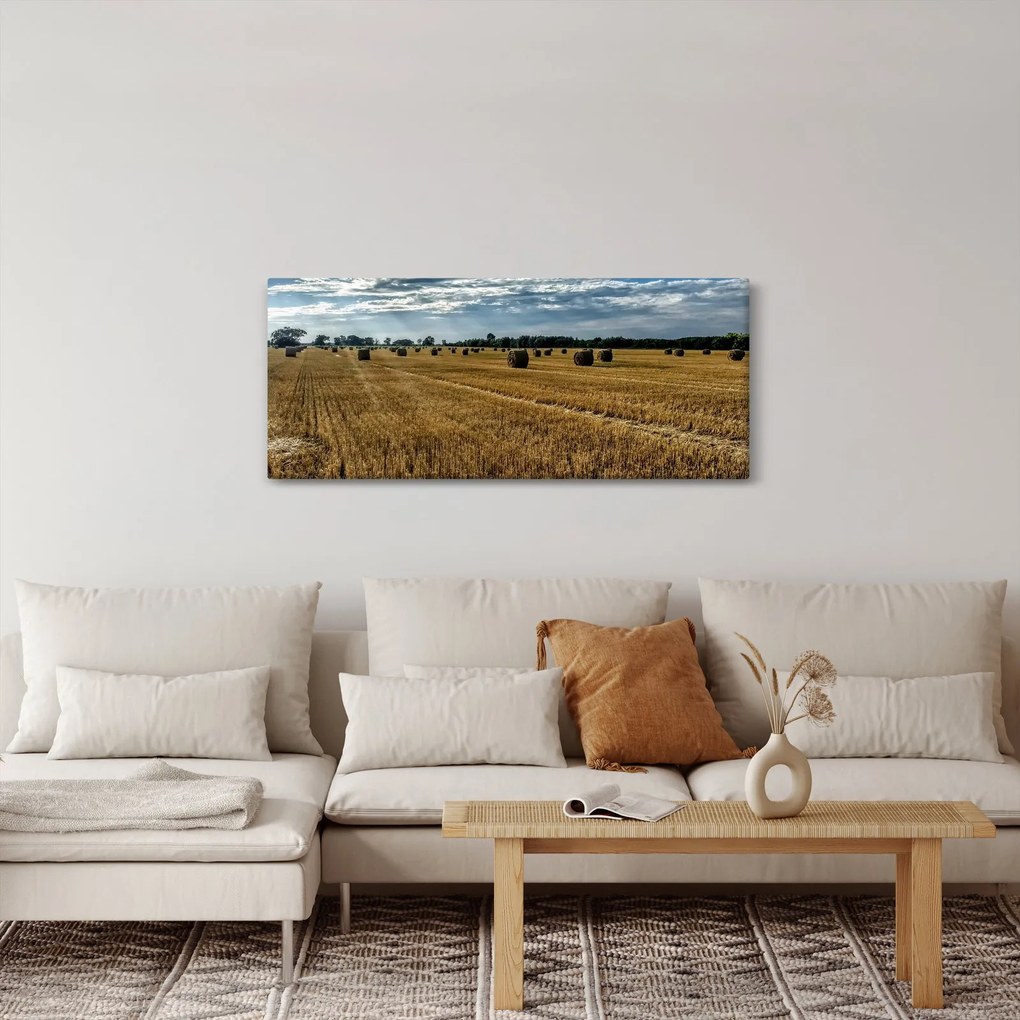 Betakarított gabona mező képe (120x50 cm)