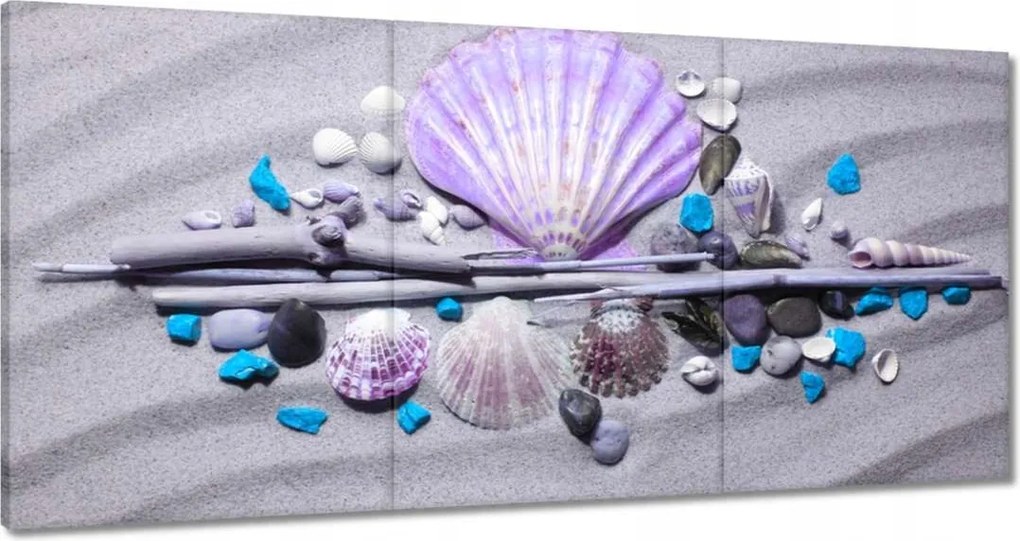 Festmények 120x60 Kagyló kompozíció