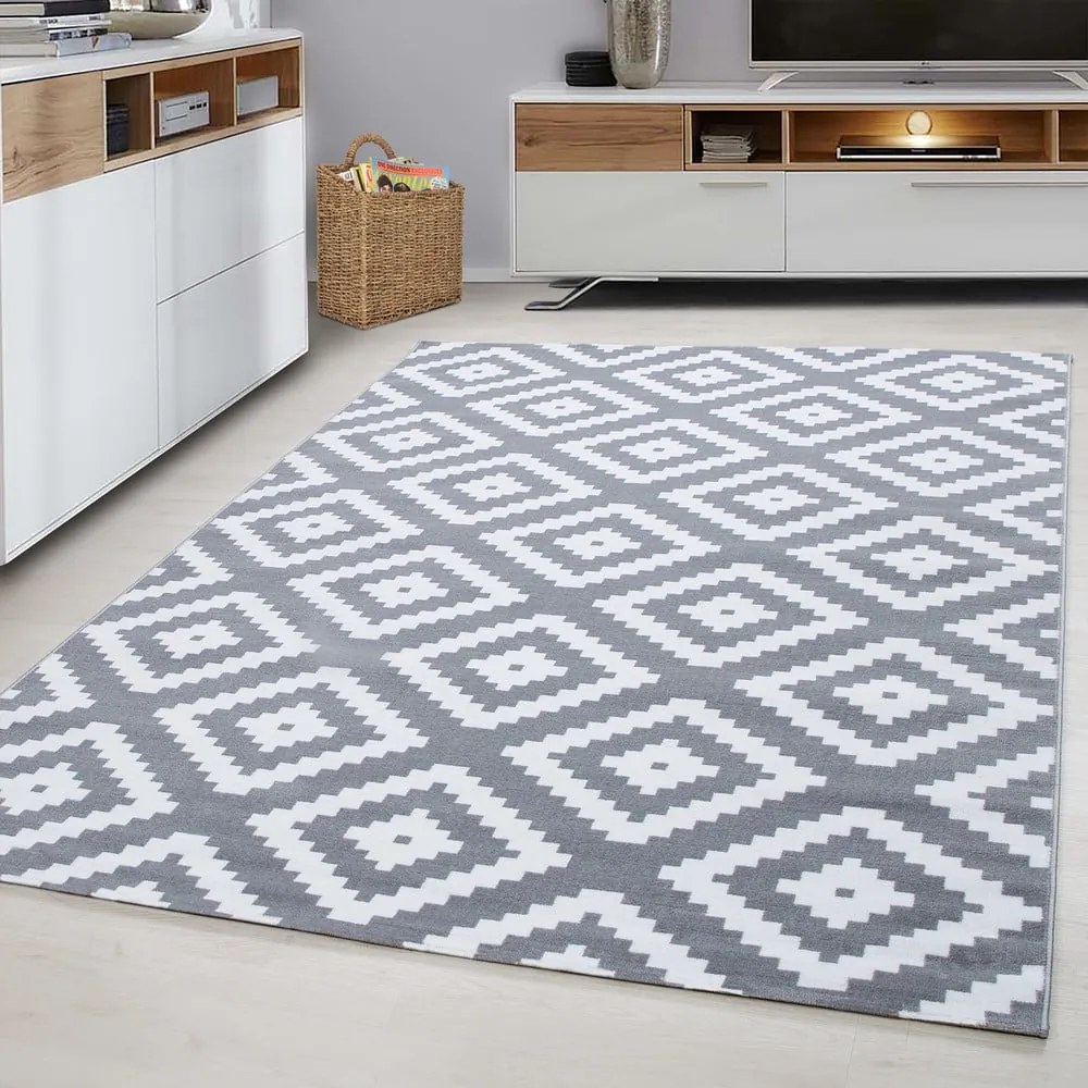 Világosszürke szőnyeg 120x170 cm Plus – Ayyildiz Carpets