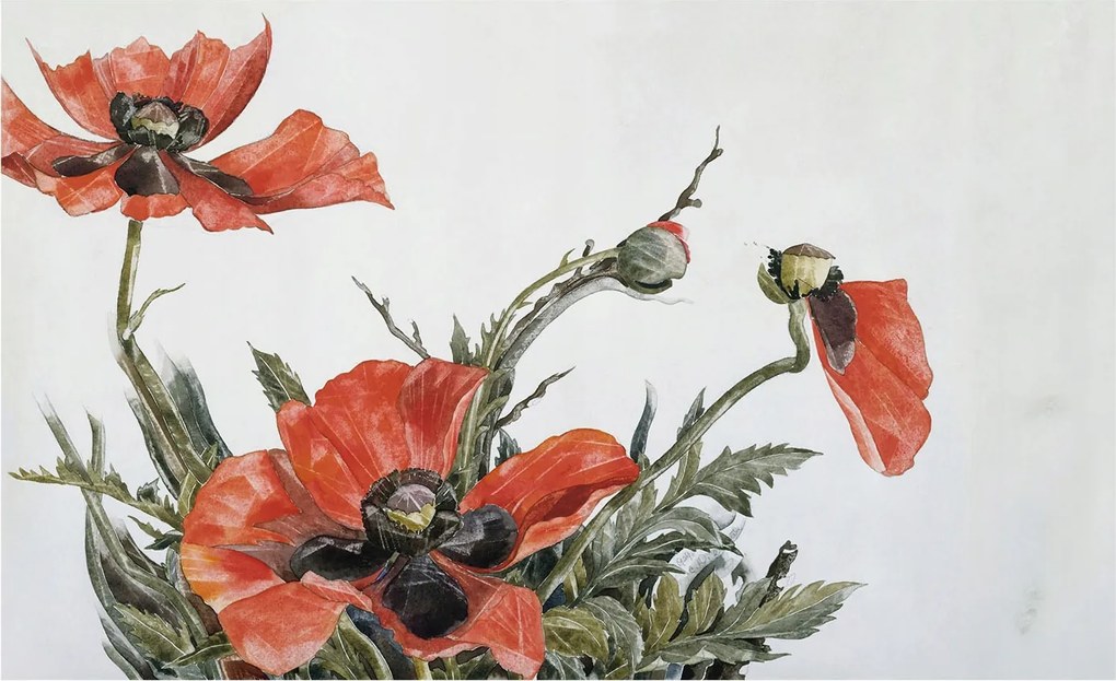 Flizelin tapéta falra Prémium piros pipacs 416x254 Ragasztó