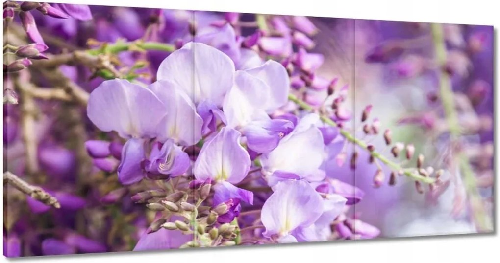 Vászonkép 120x60 Lila virágok Virágok
