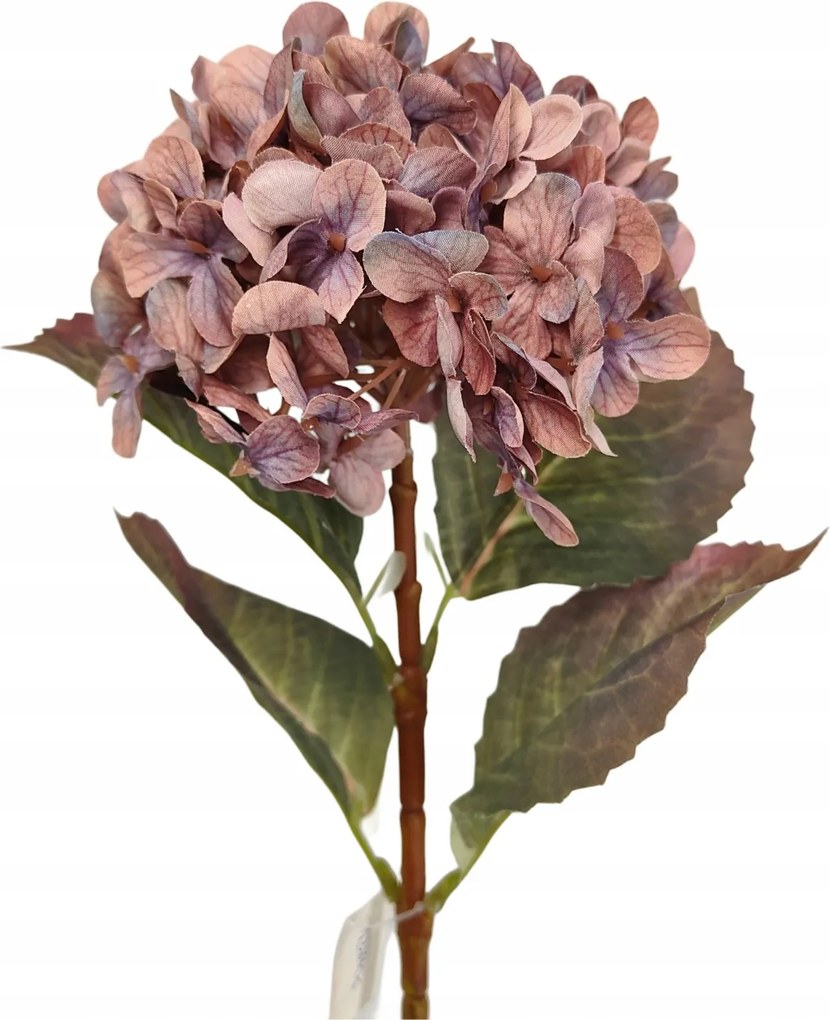 Hortenzia ág barna-lila