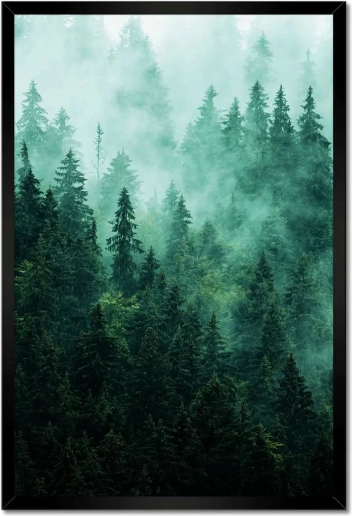 Poszter fekete keretben 40x60 Erdő Köd Tájkép Utazás
