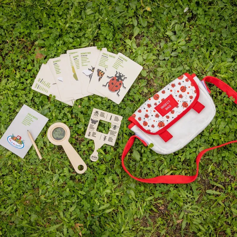 Bogaras felfedező szett gyerekeknek, 6 db-os