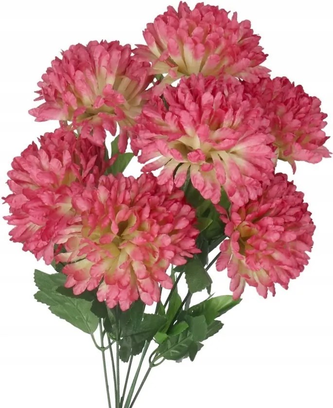 Művirágok, Mint Élő Krizantém Csokor Nagy 7 Fej