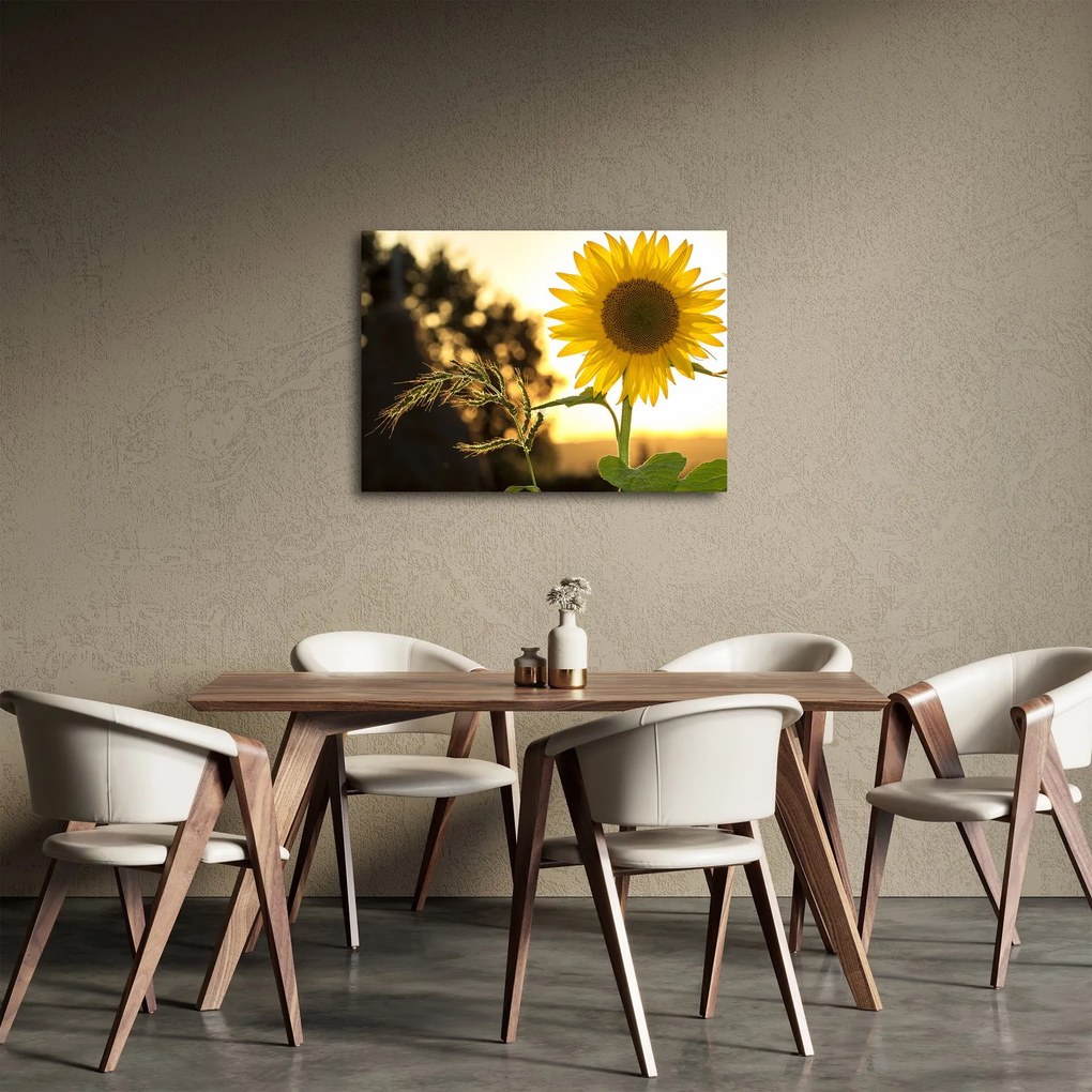 Napraforgó képe (70x50 cm)