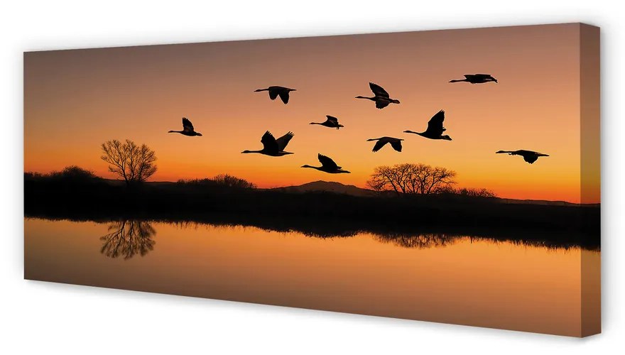 Canvas képek Repülő madarak naplemente 120x60 cm
