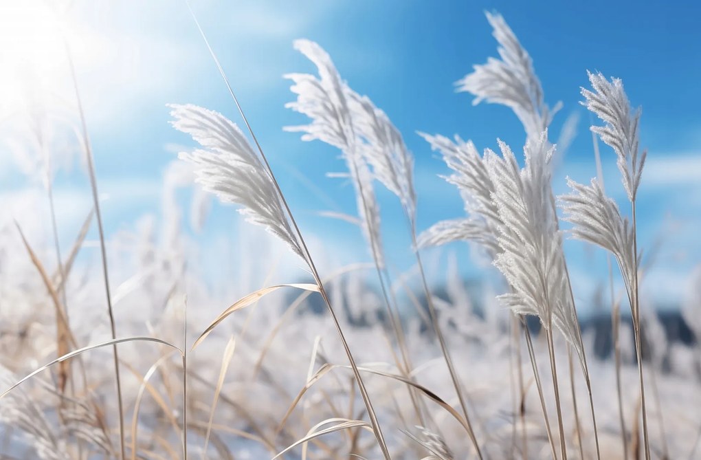 Poszter 91,5x60cm Zaj a fű között