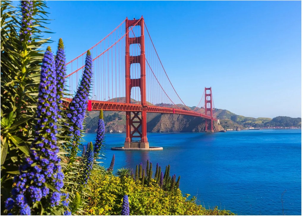 Üveg kép - Golden Gate híd, San Francisco (70x50 cm)