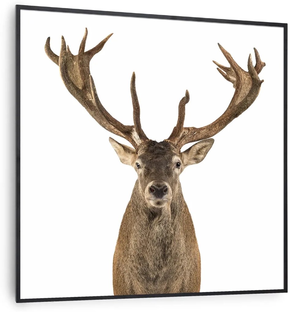 Klarstein Wonderwall Air Art Smart, infravörös hősugárzó, 60 x 60 cm, 350 W, őz