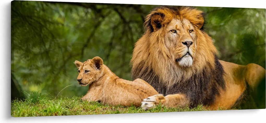 Oroszlánok képe (120x50 cm)