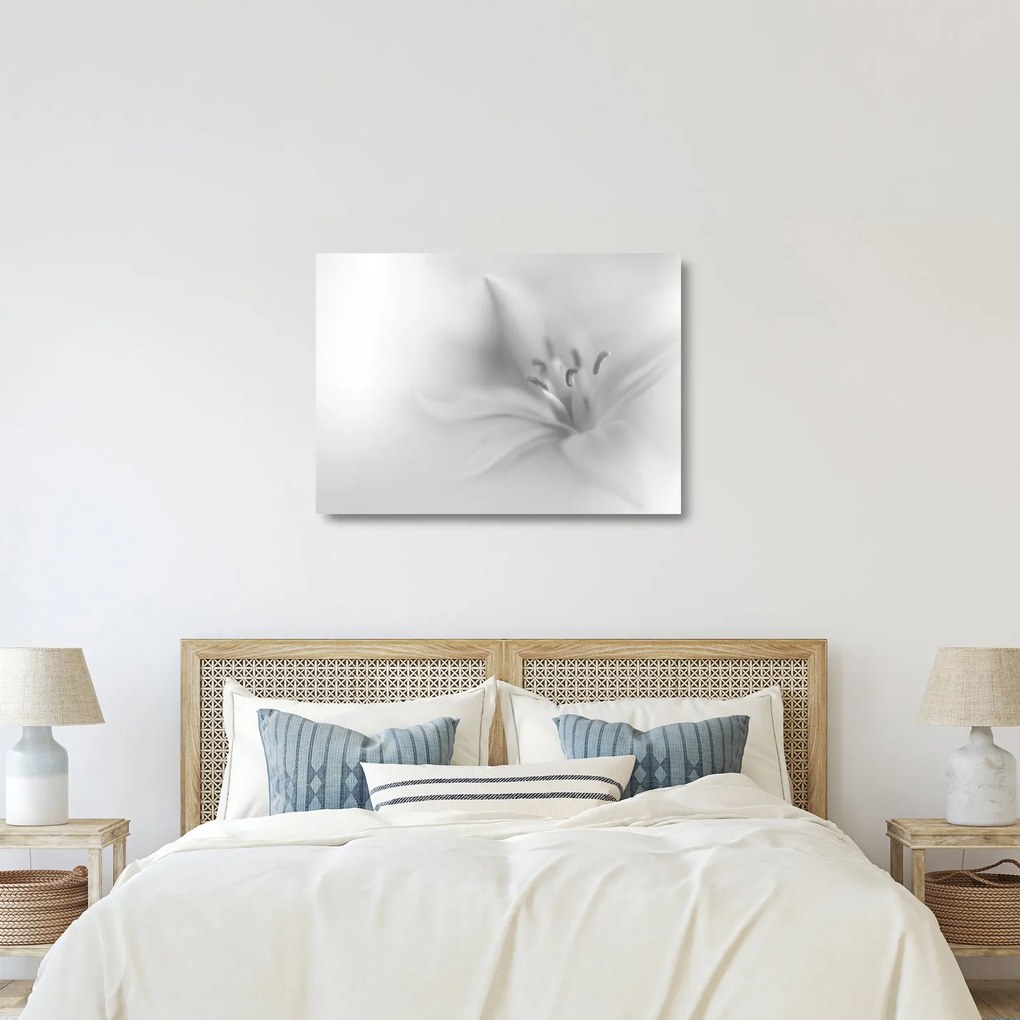 Üveg kép - Delicate Lily (70x50 cm)