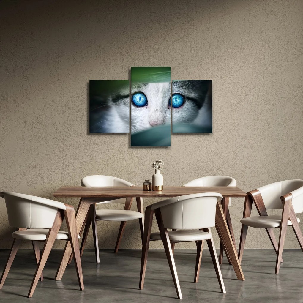 Macska képe (90x60 cm)