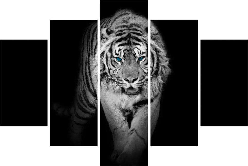 Kép - Tigris kék szemekkel (150x105 cm)