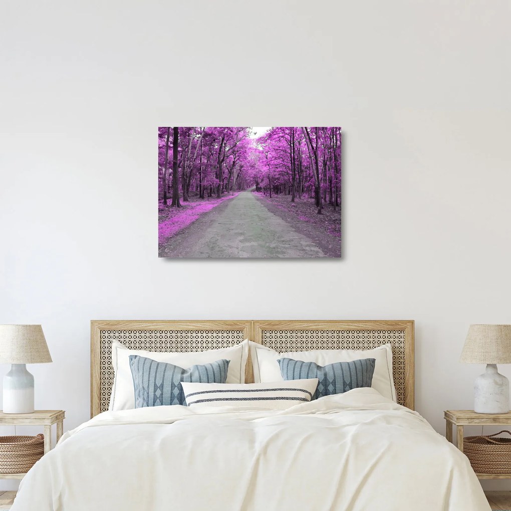 Kép - Út a parkon (üvegen) (70x50 cm)