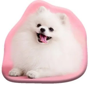 Kutyás Pomeranian formapárna, díszpárna 39x37 cm Velúr