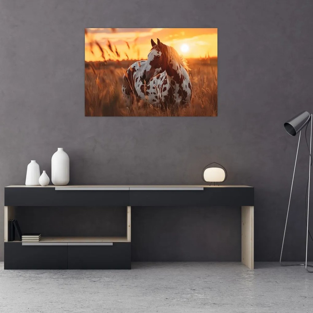 Kép - Ló naplementében (90x60 cm)