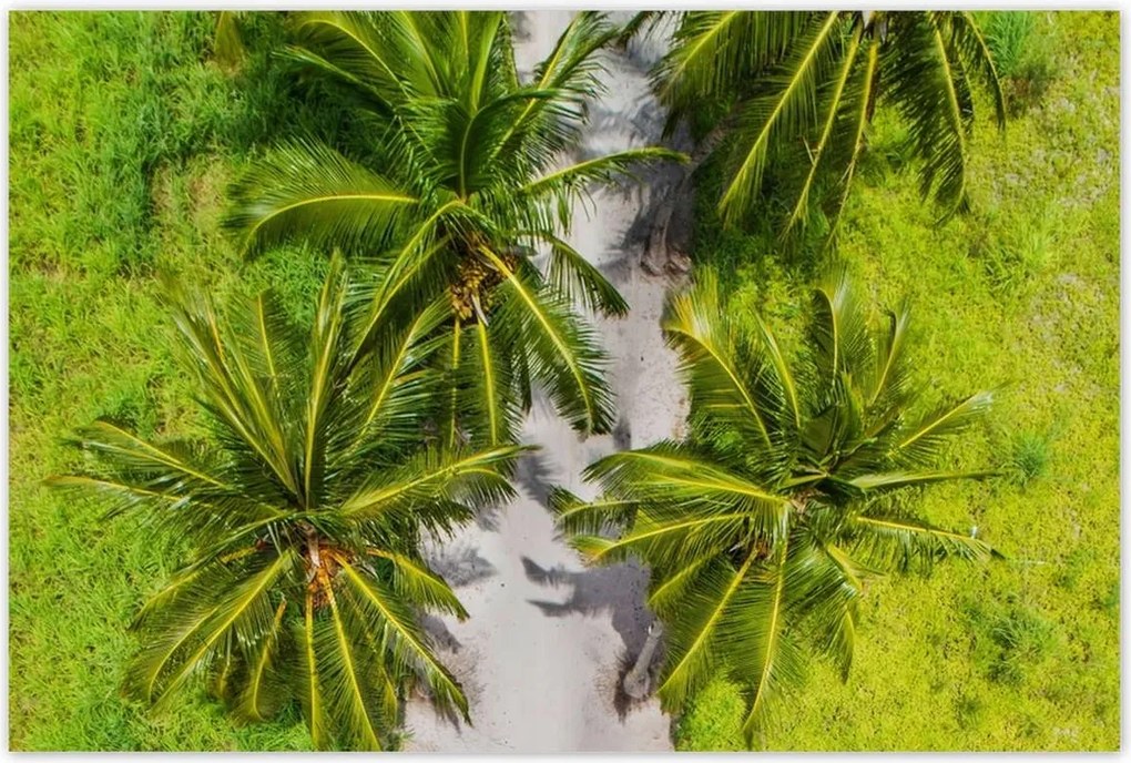 Poszterek 120x80 Tájkép Látvány