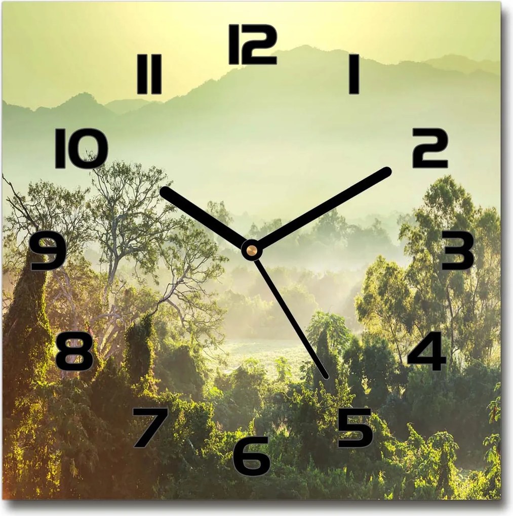 Üveg falióra szögletes Dzsungel 30x30 cm