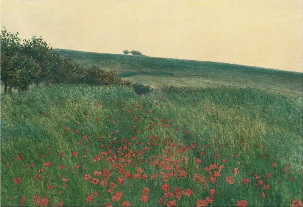 Dekoratív Fotótapéta Hálószobába Pipacs mezők 152x104 Ragasztó