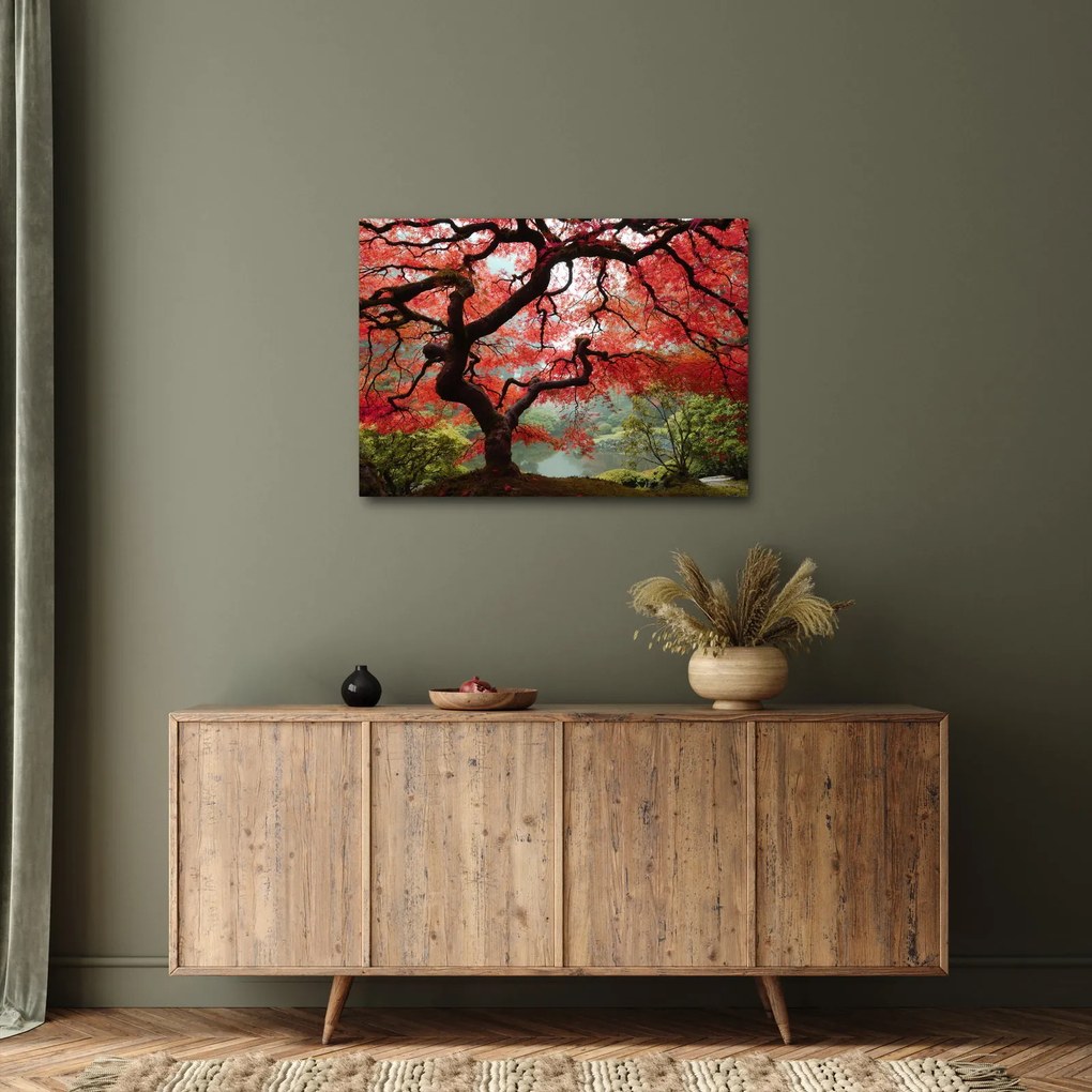 Red Japanese Maple, Portland, Oregon képe (70x50 cm)