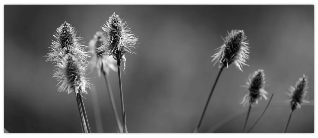 Kép - Bézs színű puha fű N⁰2 (120x50 cm)