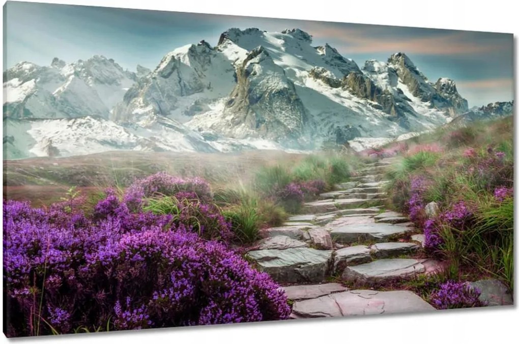 Vászonkép 120x70 Hegyi táj Tájkép