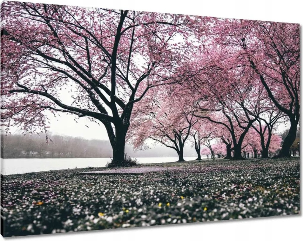 Vászonkép 100x70 Fa Fák Kilátás