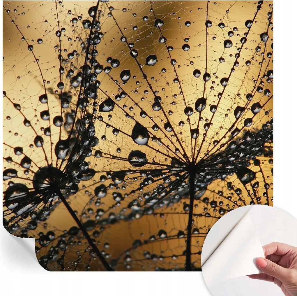 Öntapadós fotótapéta Divatos Finom cseppek 250x250 cm