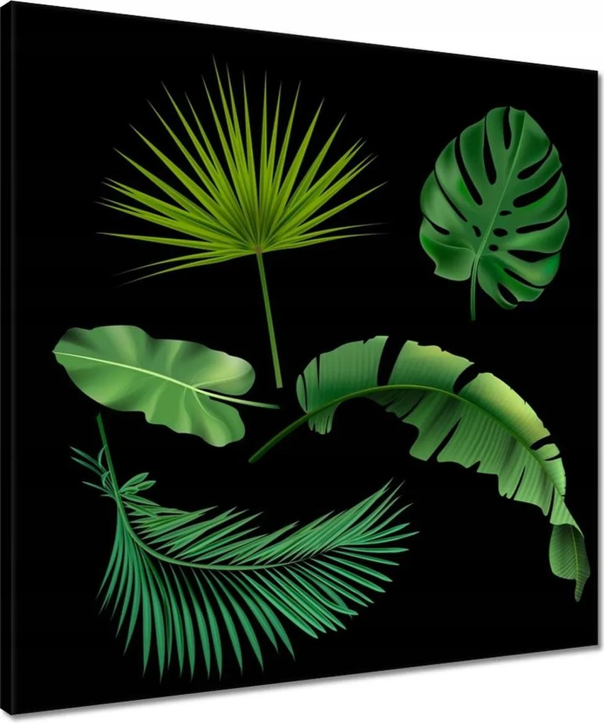 Vászonkép 50x50 Trópusi zöld levelek