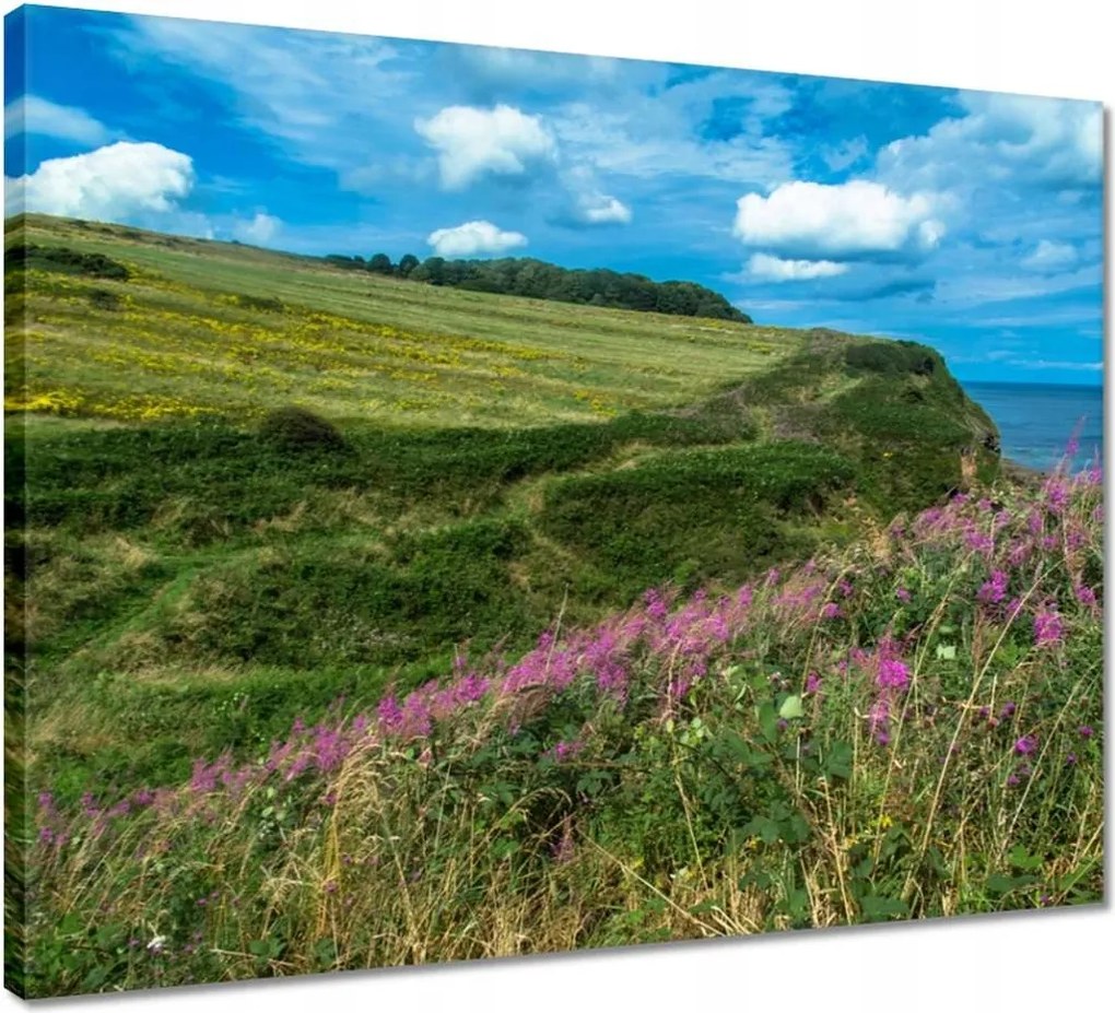 Vászonkép 50x40 Virágos rét a tengerparton