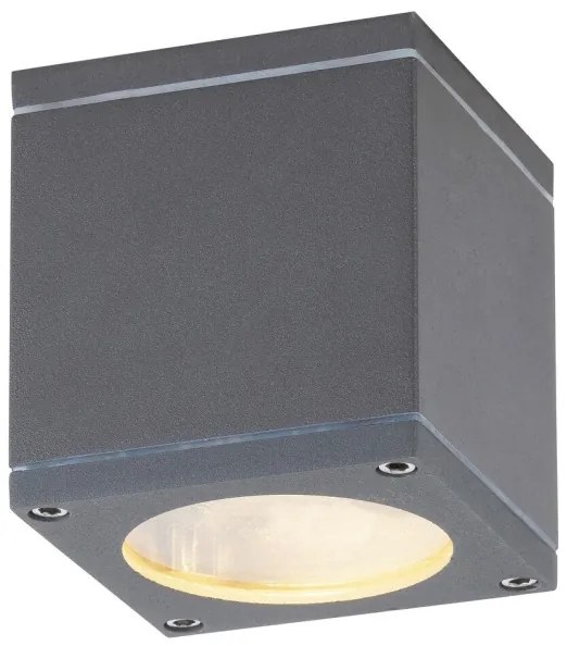 Rabalux 8149 - Kültéri mennyezeti lámpa AKRON 1xGU10/35W/230V IP54