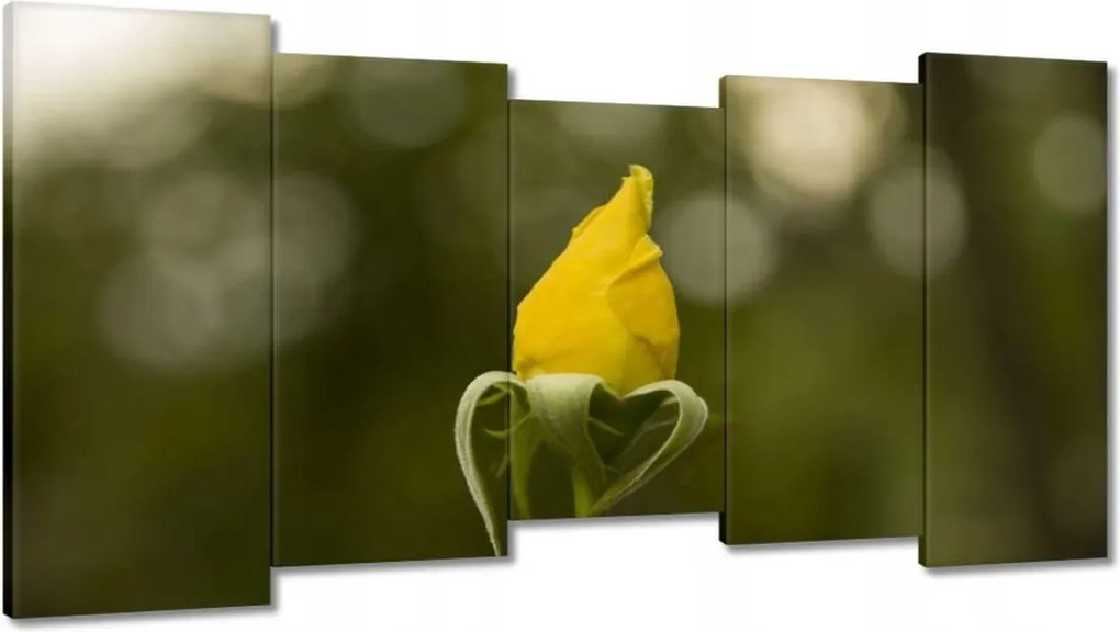 Vászonkép 150x80 Sárga rózsa