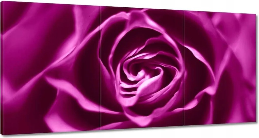 Vászonkép 120x60 Lila rózsa Makrofotó