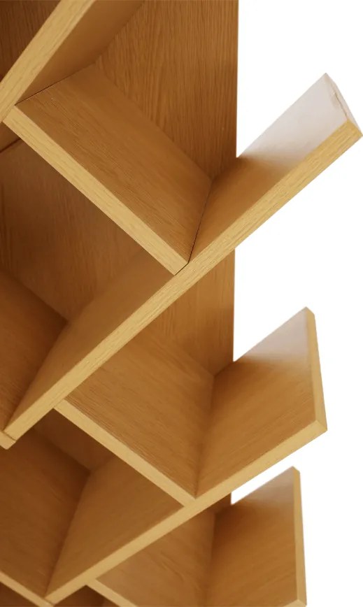 könyvespolc, tölgy , VEVEY