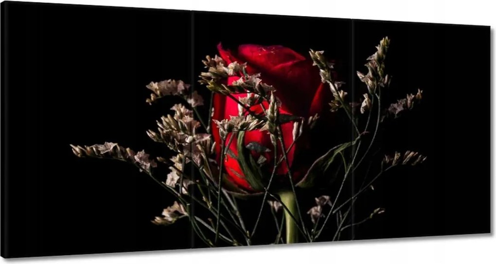 Vászonkép 180x90 Rózsa Virág Virágok Rózsa