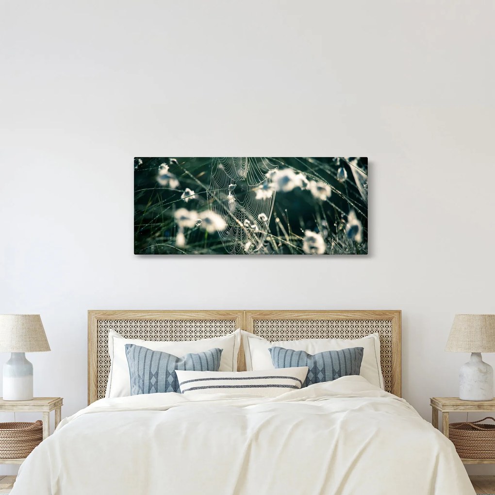 Kép - Pókháló (120x50 cm)