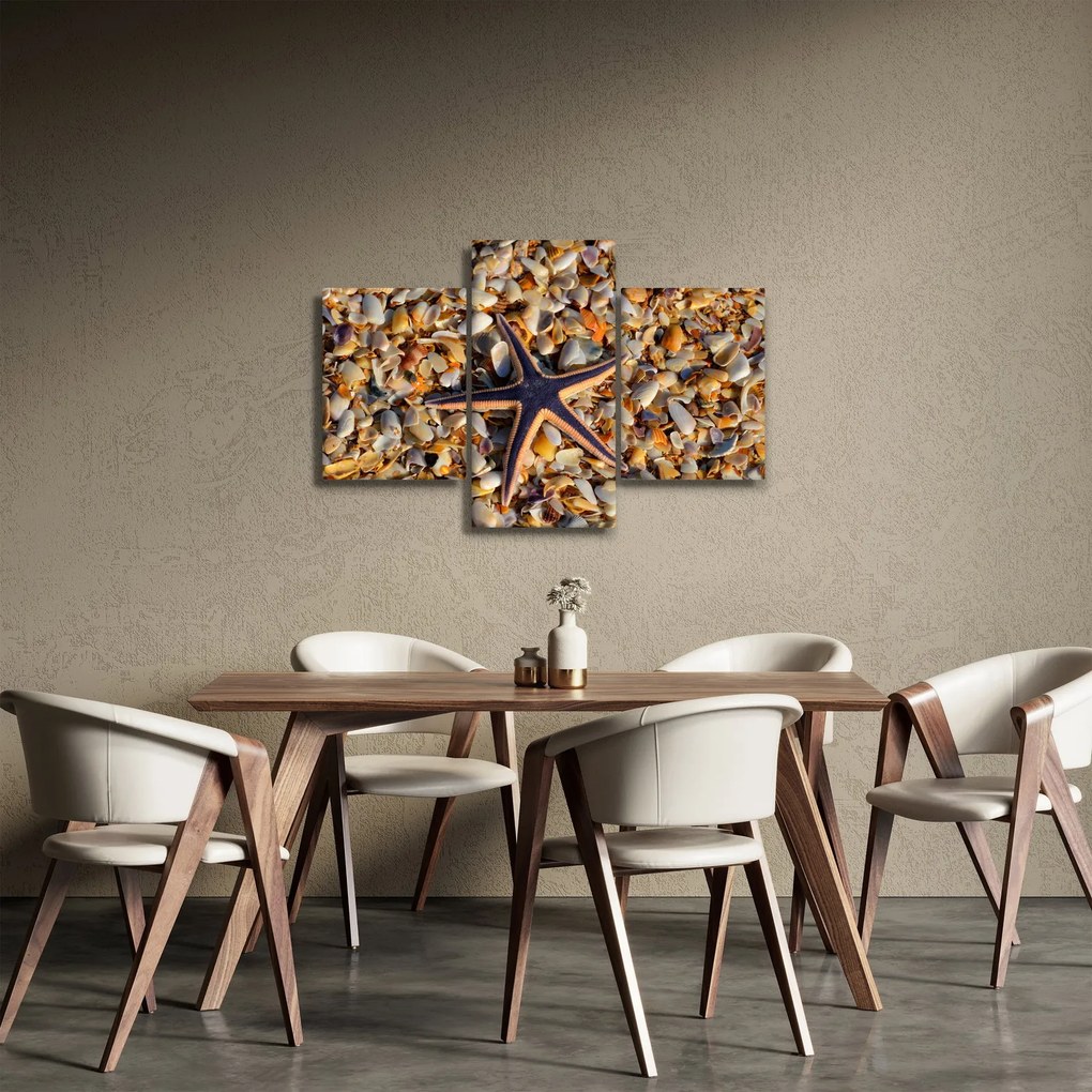 Egy tengeri csillag képe (90x60 cm)