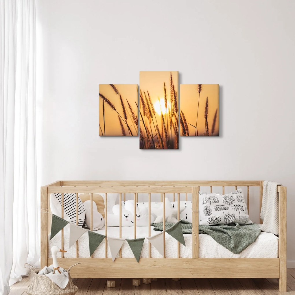 Kép - Füvek a napon (90x60 cm)