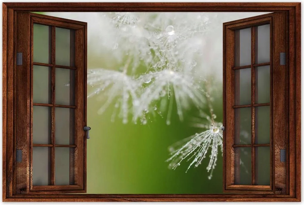 Poszterek 60x40 Pitypang Virág Virágok