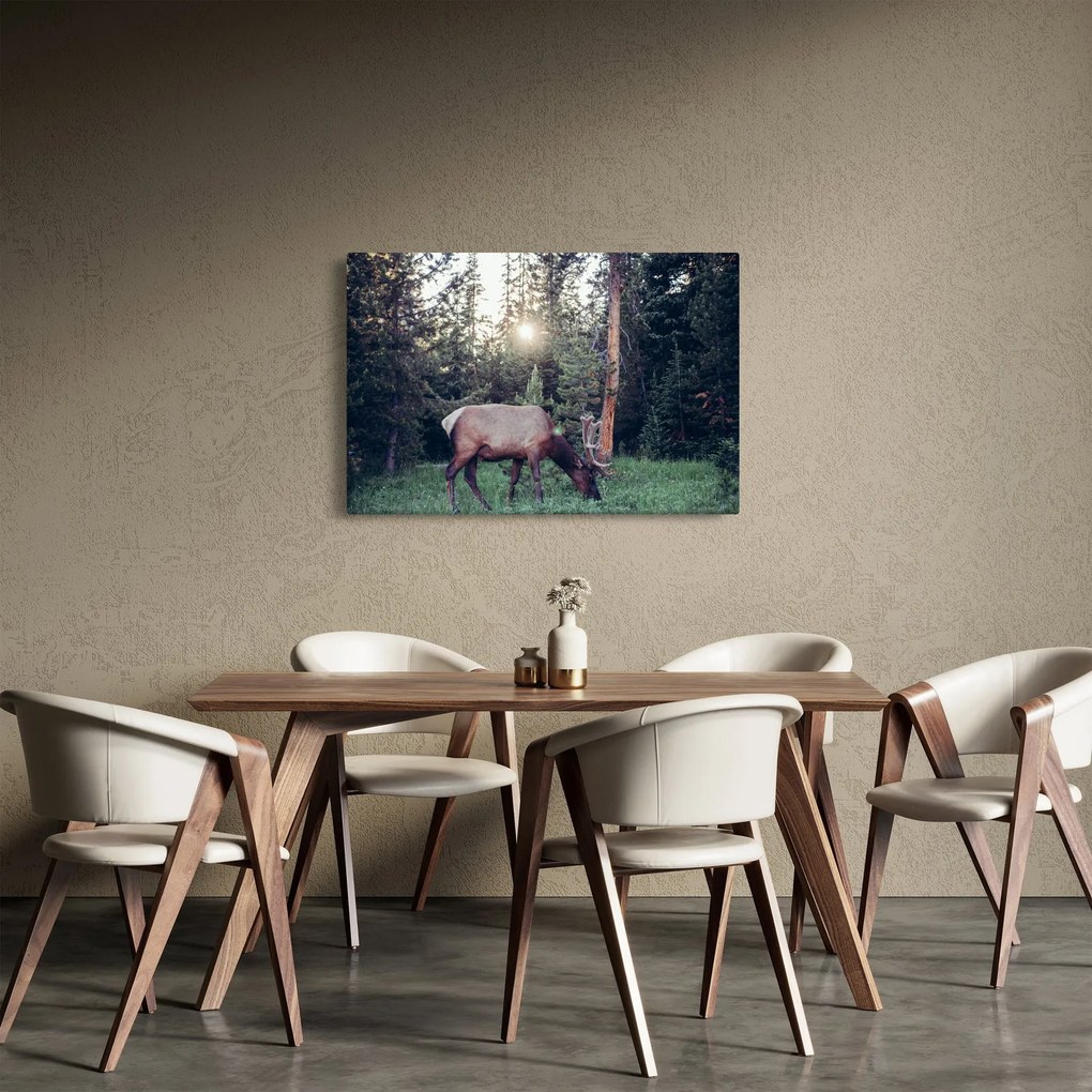 Kép - Jávorszárvas a tisztáson (90x60 cm)