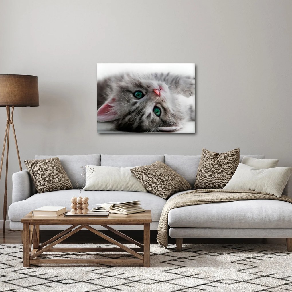Kép - Macska zöld szemekkel (70x50 cm)