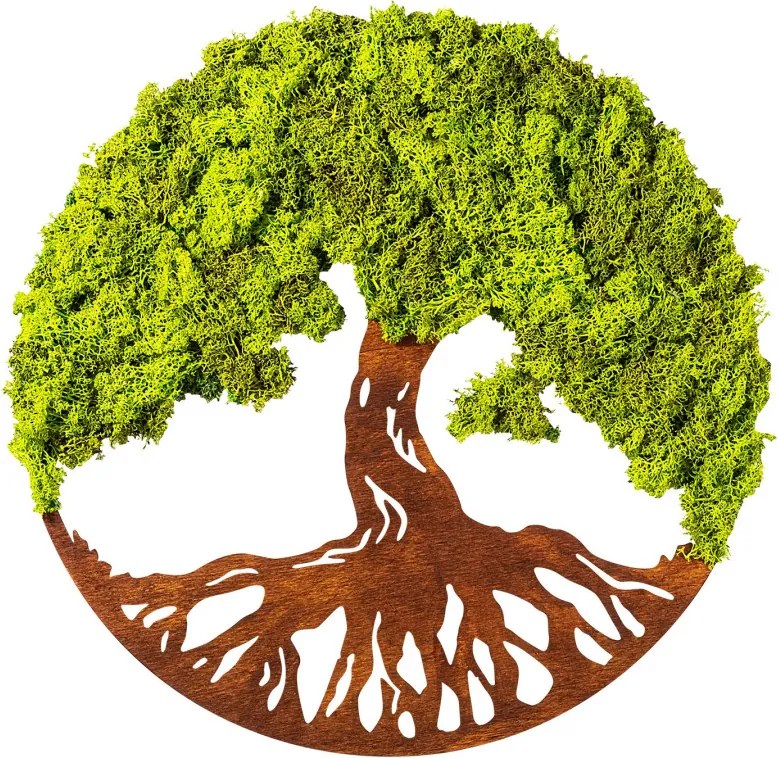 Fa és moha fali dekoráció, fa, 44cm