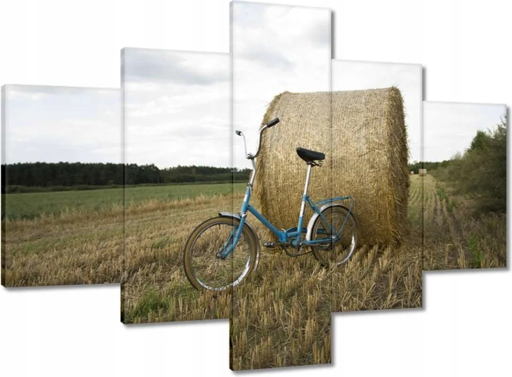 Vászonkép 100x70 Wigry 3 Prl Kerékpár Romet